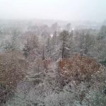 An aerial view of a forest in Orange during winter. The trees are covered in white snow.