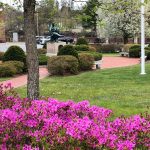 An outdoor photo of Orange with the peace statue in the background
