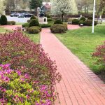 An outdoor photo with the Peace Statue in the far end of the photo. There are flowers and grass on both side of the pavement.